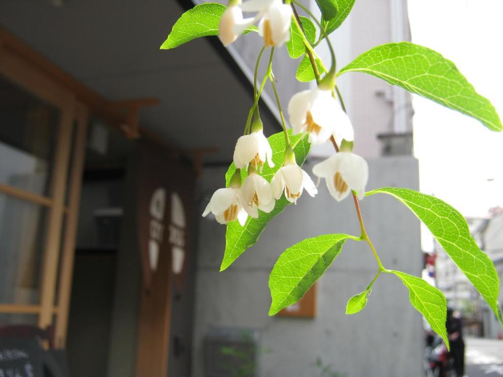 Guesthouse Hyakumanben Cross Kyōto Exterior foto